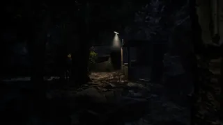 Скриншот 7 к игре SILVARN