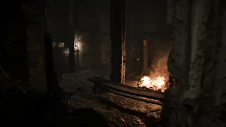 Скриншот 8 к игре SILVARN
