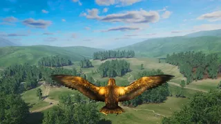 Скриншот 1 к игре Bird Game 3 Online