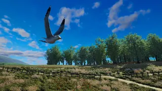 Скриншот 4 к игре Bird Game 3 Online