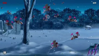 Скриншот 4 к игре Moorhuhn Winter Edition