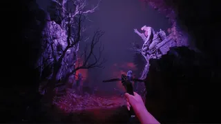 Скриншот 3 к игре Lucid Falls