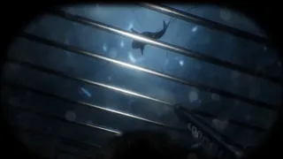 Скриншот 4 к игре Scary Cave Diving