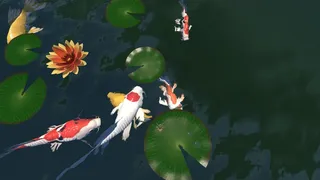 Скриншот 3 к игре A little Jumpingspider's Garden Adventure (Day 1+2)