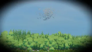 Скриншот 6 к игре Look to the Birds