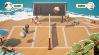 Скриншот 1 к игре PawlleyBall