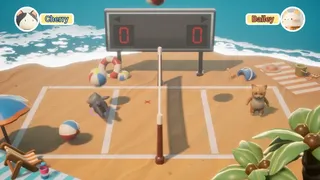Скриншот 2 к игре PawlleyBall