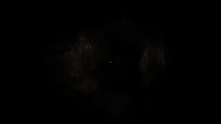 Скриншот 8 к игре Lost Sanity: Cthulhu