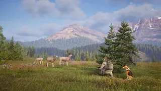 Скриншот 3 к игре Way of the Hunter 2