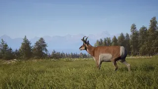 Скриншот 4 к игре Way of the Hunter 2