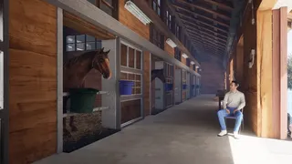 Скриншот 6 к игре Full Stride
