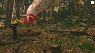 Скриншот 5 к игре Catch the Chiken