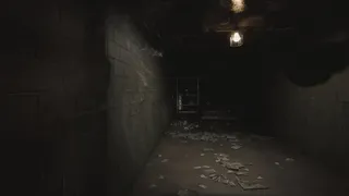 Скриншот 2 к игре Veylora