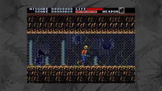 Скриншот 1 к игре Earnest Evans Collection