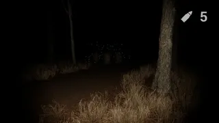 Скриншот 7 к игре Chainsaw Woods
