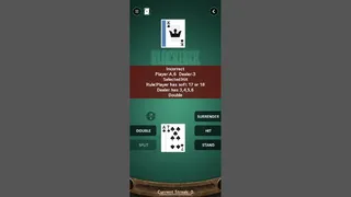 Скриншот 1 к игре Steve's Blackjack Trainer Pro