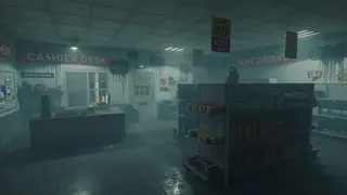 Скриншот 1 к игре Roadside Reseal