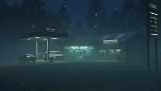 Скриншот 5 к игре Roadside Reseal