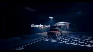 Скриншот 3 к игре At Night: The Nurse