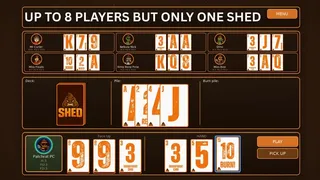 Скриншот 1 к игре SHED