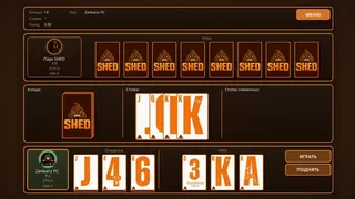 Скриншот 8 к игре SHED