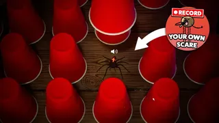 Скриншот 2 к игре Spider Roulette