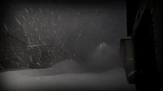 Скриншот 3 к игре White Silence