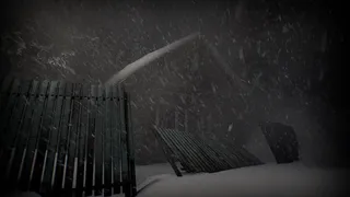 Скриншот 5 к игре White Silence