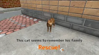 Скриншот 3 к игре Rescue Over 100 Town Cats