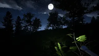 Скриншот 1 к игре Campfire: Night One