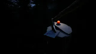 Скриншот 2 к игре Campfire: Night One
