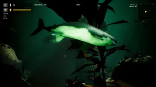 Скриншот 2 к игре Aphotic Depths