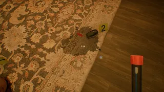 Скриншот 6 к игре FORENSIC - M.E. Protocol
