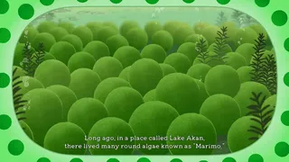 Скриншот 1 к игре Marimo-VS-IAS: Our Friends