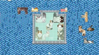 Скриншот 6 к игре CATS BLOCKS: HOT SPRINGS