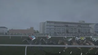 Скриншот 3 к игре Starters Orders 8 Horse Racing