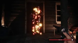 Скриншот 8 к игре Undying West