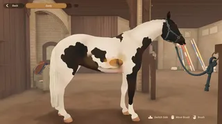Скриншот 2 к игре Fernhoof Grove: Riding Academy