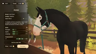 Скриншот 5 к игре Fernhoof Grove: Riding Academy