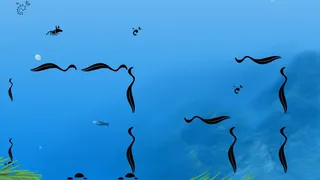 Скриншот 1 к игре Euphausia superba: The Antarctic Krill
