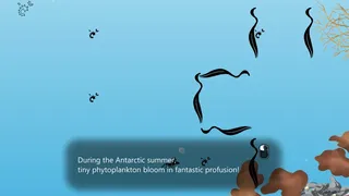 Скриншот 3 к игре Euphausia superba: The Antarctic Krill