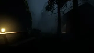 Скриншот 1 к игре Werewolf Hunter: Night of Horror