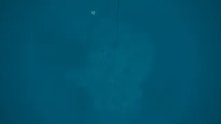 Скриншот 2 к игре Kodas Nereus