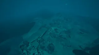 Скриншот 3 к игре Kodas Nereus