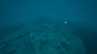 Скриншот 4 к игре Kodas Nereus