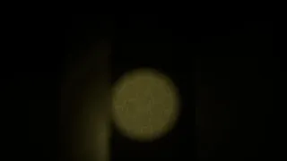 Скриншот 4 к игре это заблокировано
