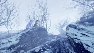 Скриншот 2 к игре Wildborne Online
