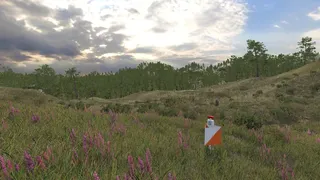 Скриншот 2 к игре Infinite Orienteering: The Hiker's Path