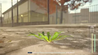 Скриншот 1 к игре The Dandelion Endures.