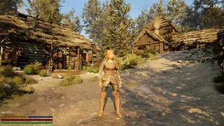 Скриншот 2 к игре Heart & Steel: The Forsworn